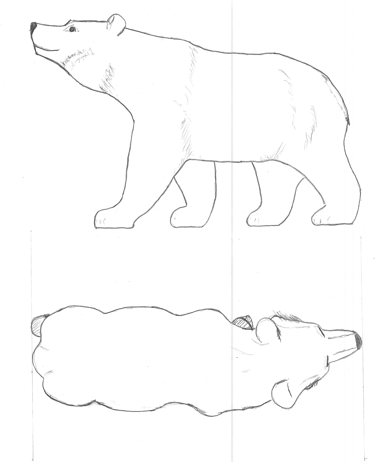 bear pattern outline